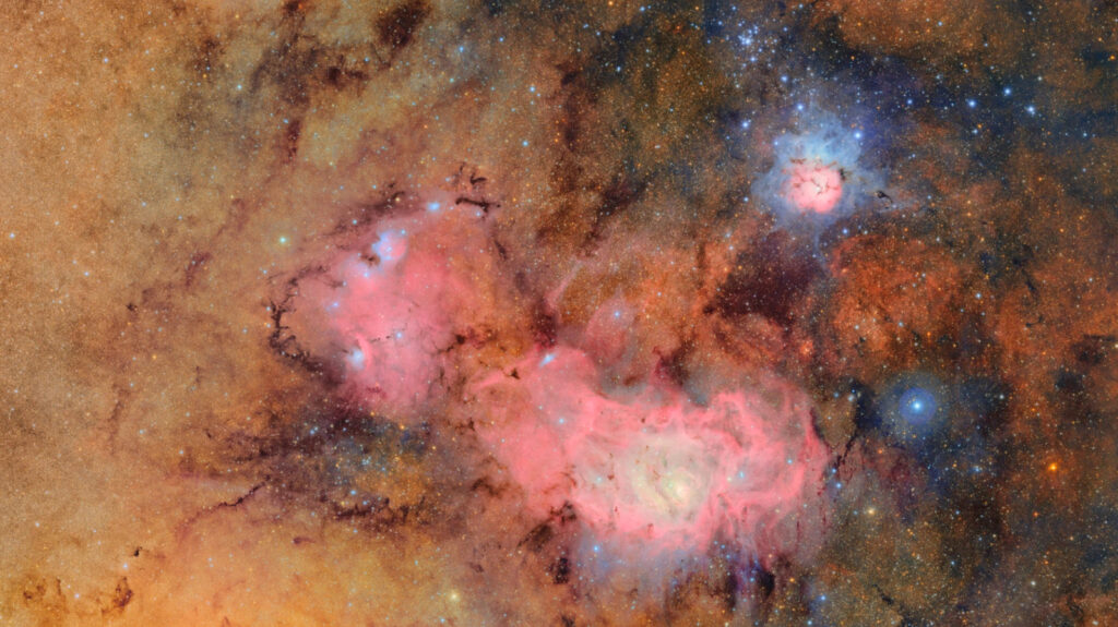 A 10-Year Sky Survey Begins Filming A 'Cosmic Movie,' Cyborg Cockroaches Go For A Dive And More Science Stories