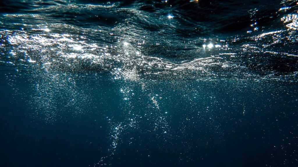 Earth's Oceans Are Rapidly Losing Oxygen. It Could Destabilize the Planet